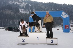 Lenk 2012 SM